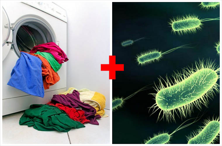 Vi khuẩn trong máy giặt hình thành do đâu?