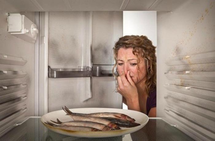 tủ lạnh không chạy khiến đồ ăn bị hư hỏng